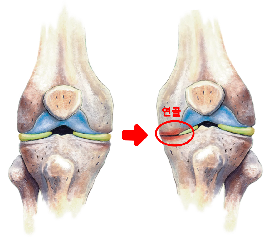 �������� ����